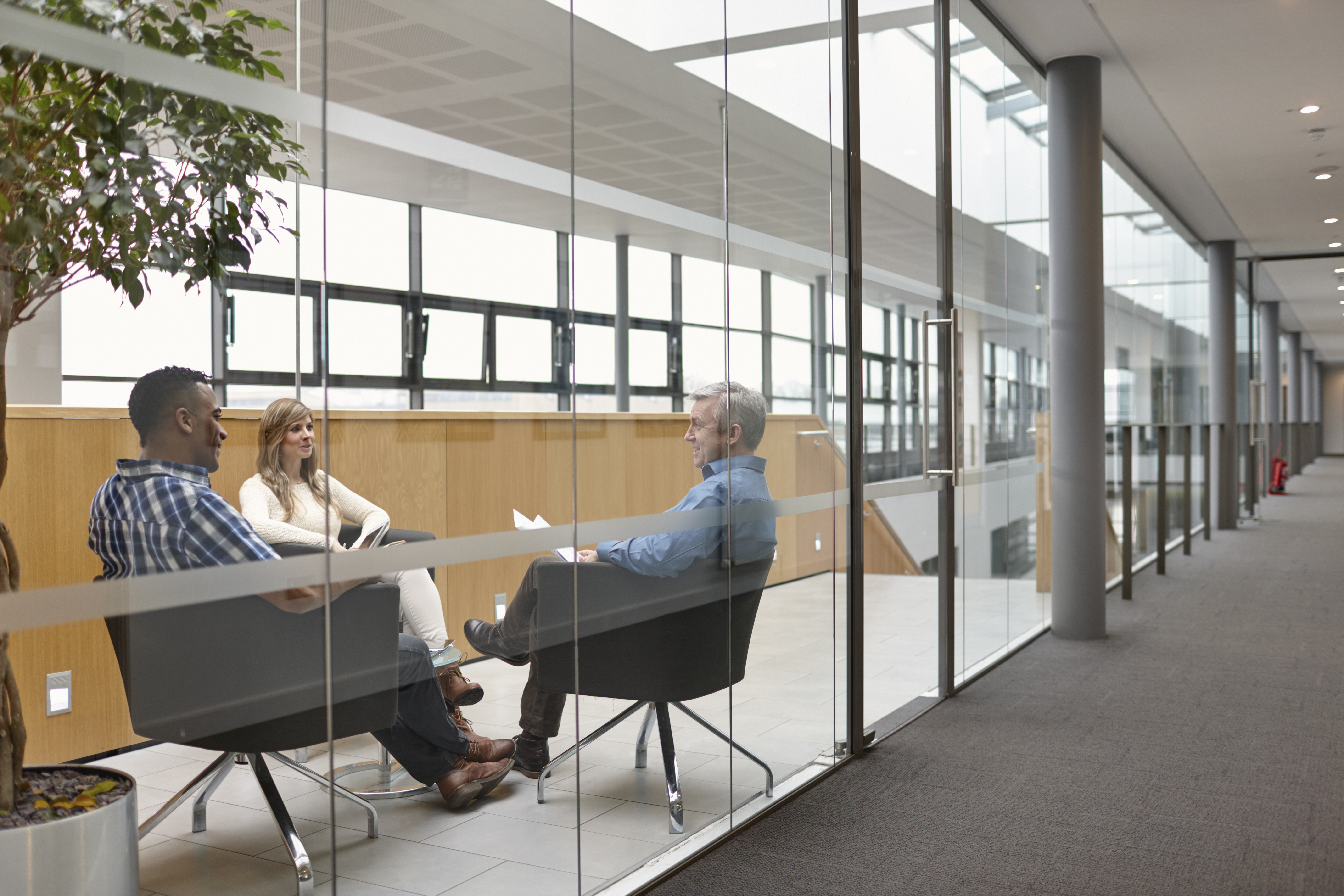 Frameless Glass Shower